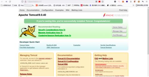 网络与信息安全软件开发中的默认页面信息泄露风险及应对策略